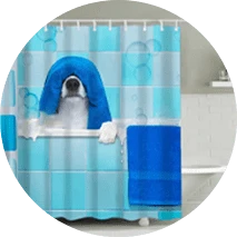 מגבות ווילונות מקלחת