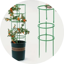 טיפול בצמחים