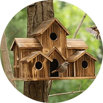 טיפול בציפורים וחיות בר