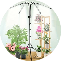 חממות גידול