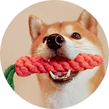 צעצועים לחיות מחמד