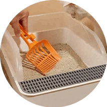 ניקוי חיות מחמד