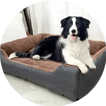 מיטות ורהיטים לחיות מחמד