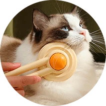 טיפוח חיות מחמד