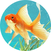 דגים, זוחלים ודו-חיים