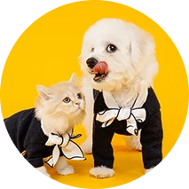 ביגוד ואביזרים לחיות מחמד